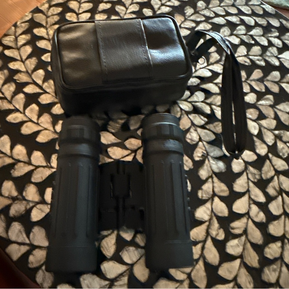 Tasco 10x25 Binoculars Fully Coated Optics 303FT/1000YDS 101M/1000M #168RB - Picture 4 of 4